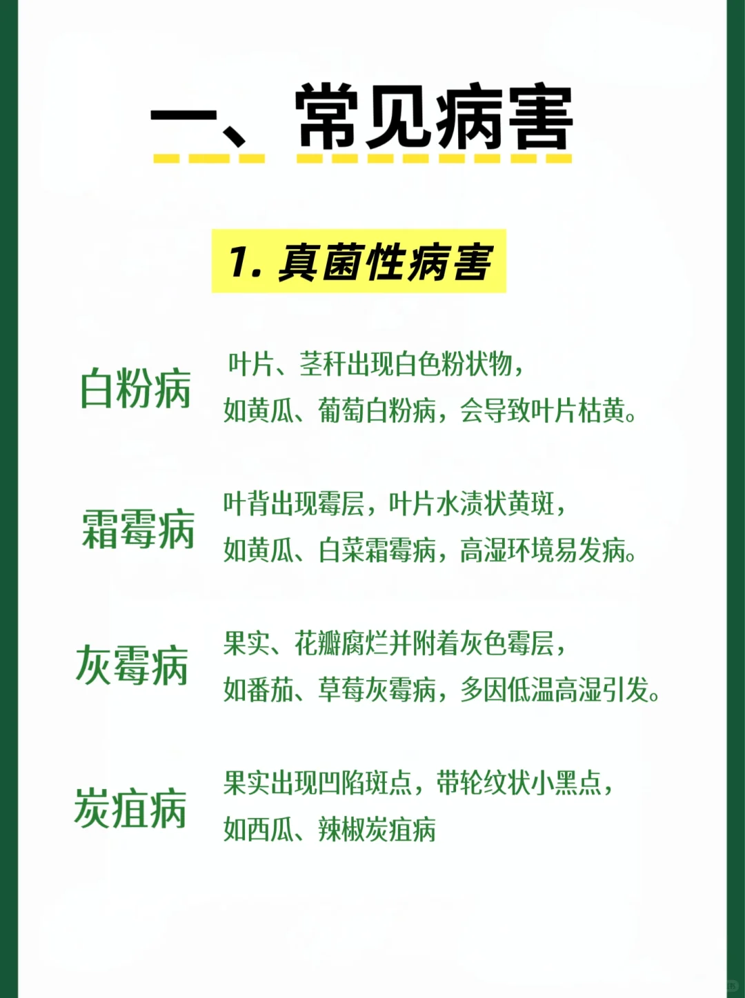 快速识别,蔬菜瓜果常见病虫害类型及案例