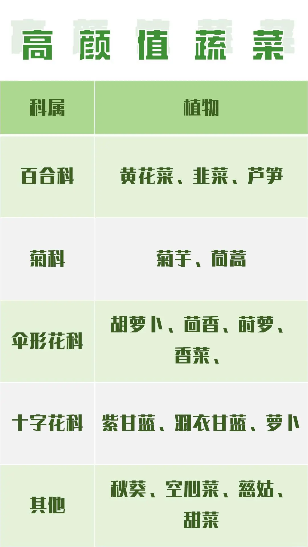 可食花园不可缺少的高颜值蔬菜