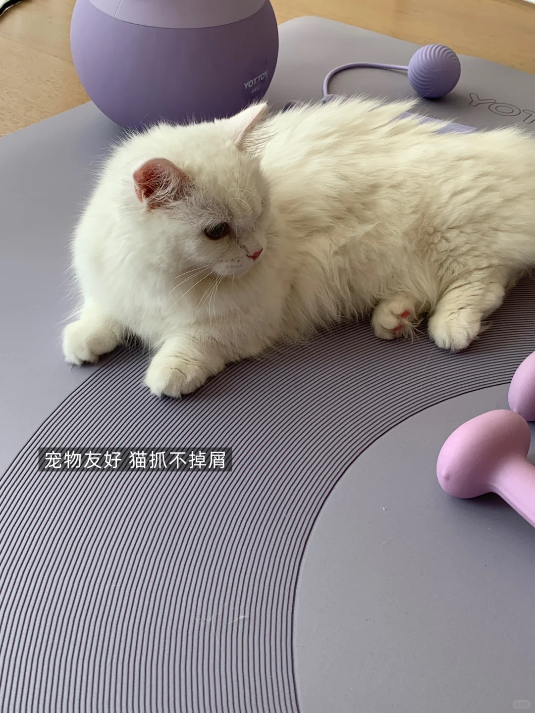 在家运动真的很惬意 ?