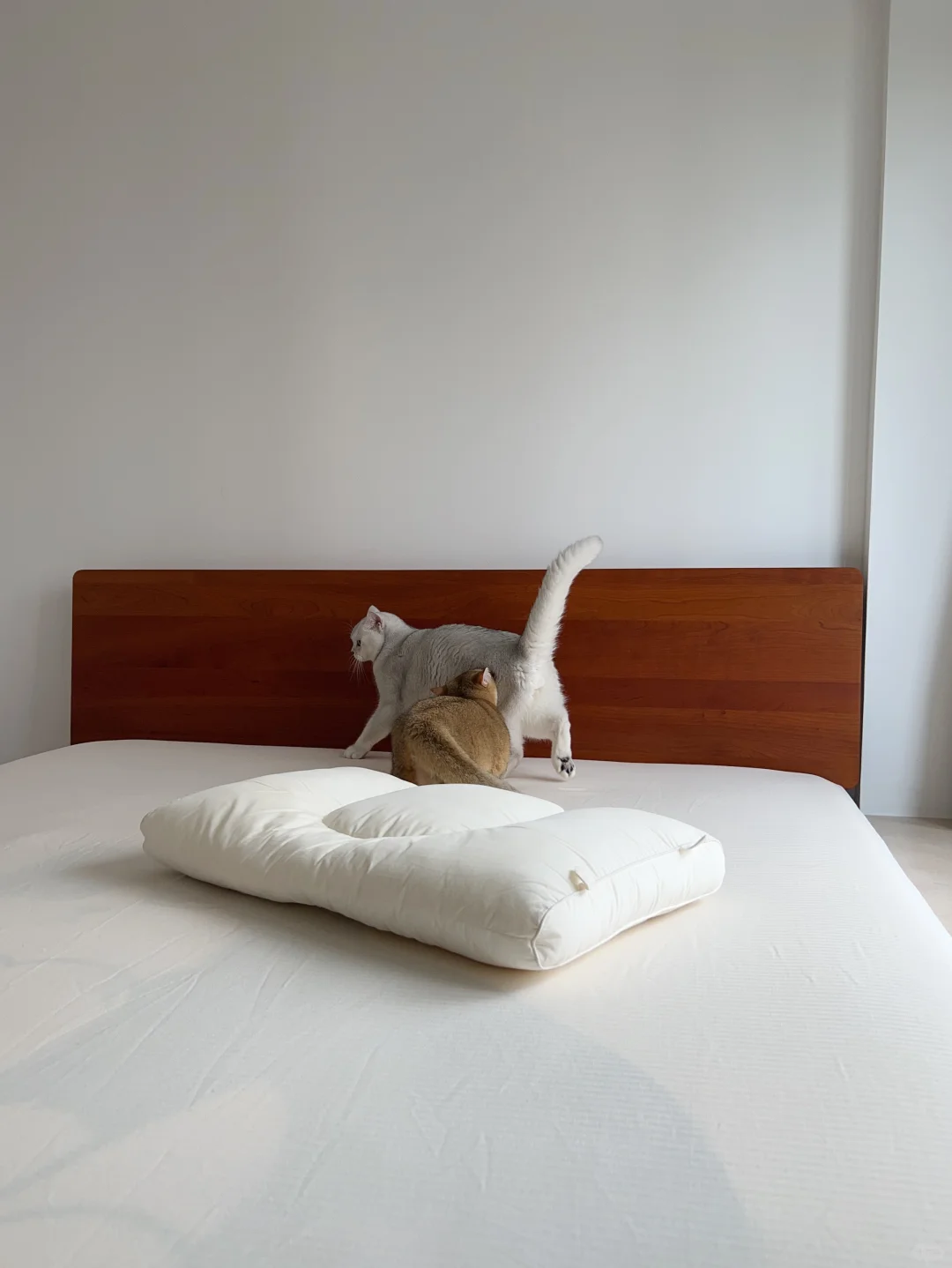 少物真的很方便