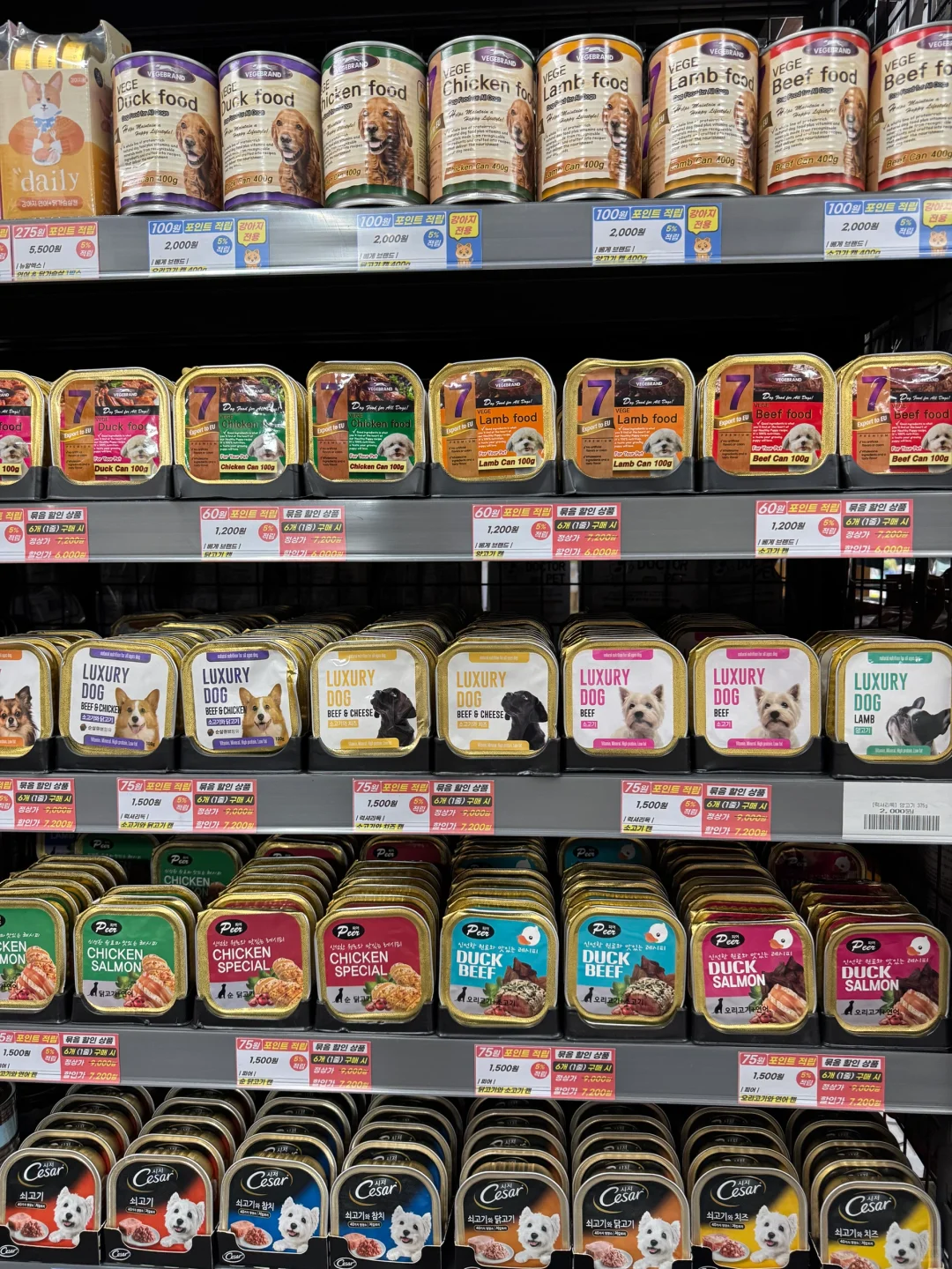 养狗人济州岛打猎攻略?勇闯?家店宠物店！