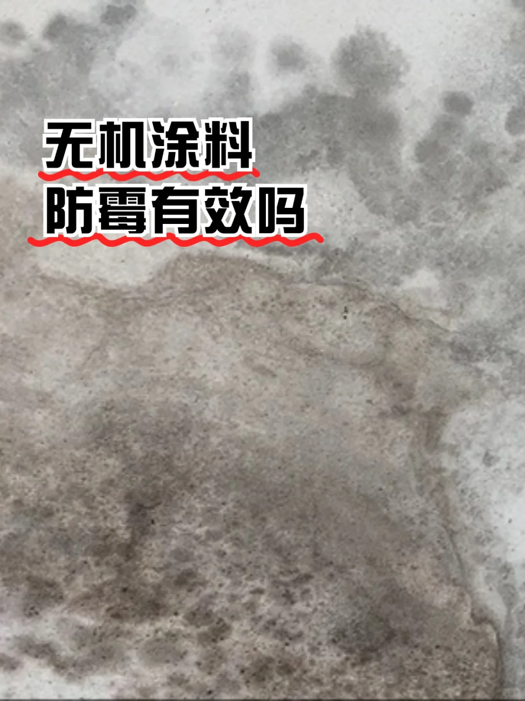 无机涂料防霉是智商税吗?