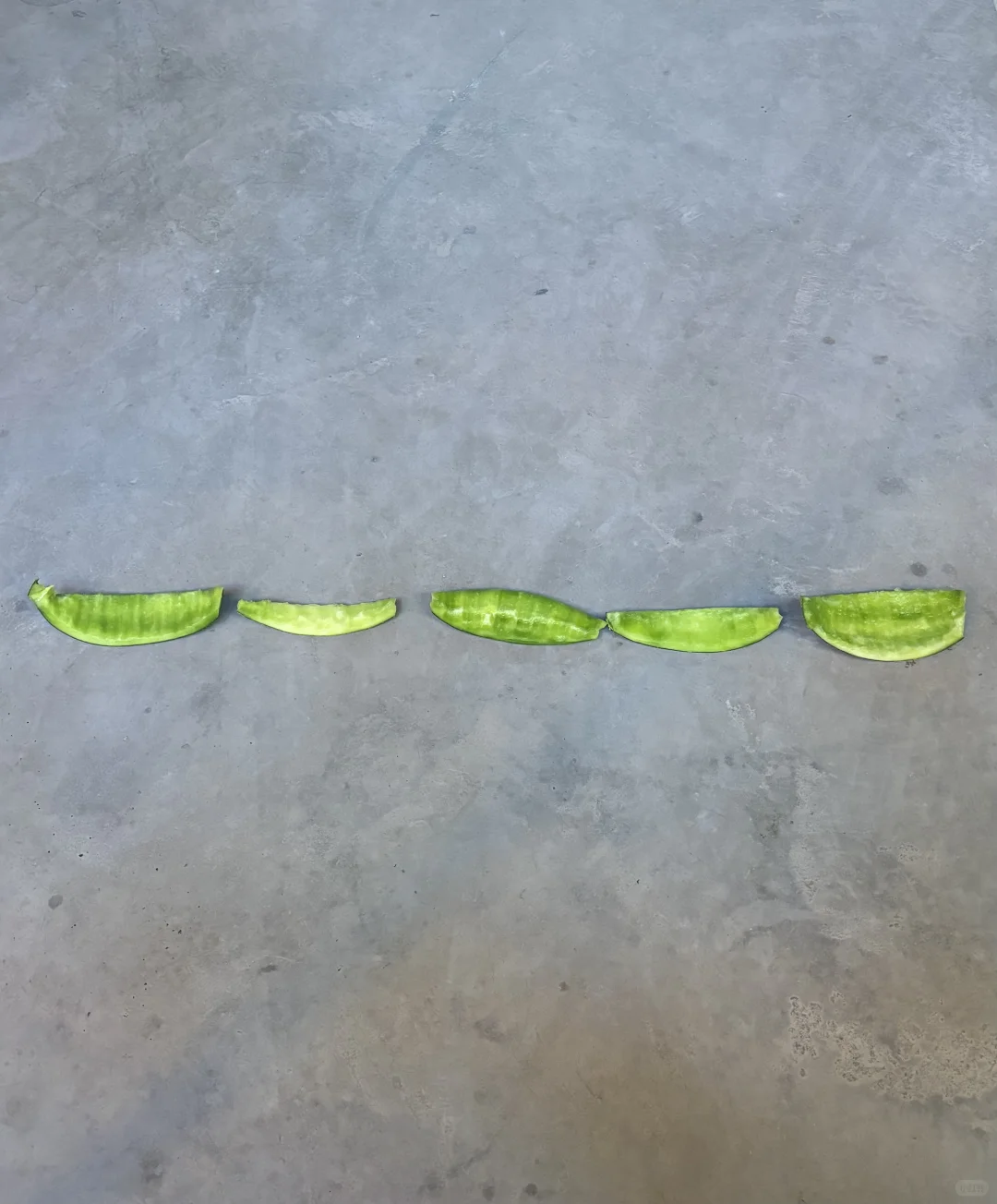 实践Day8.今天又去授课和参观工厂了