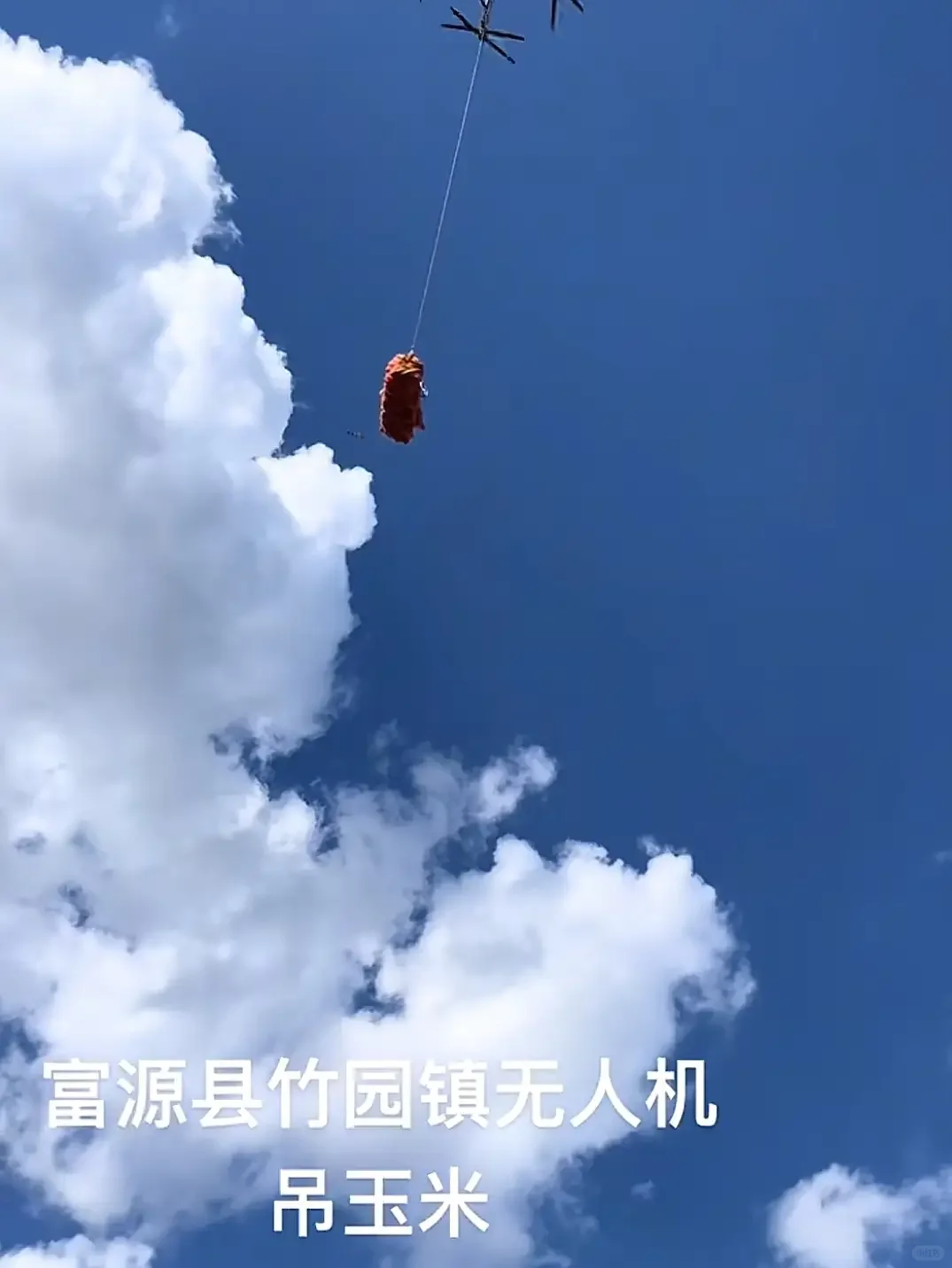 云南村民用无人机收玉米 现代农业仰仗科技