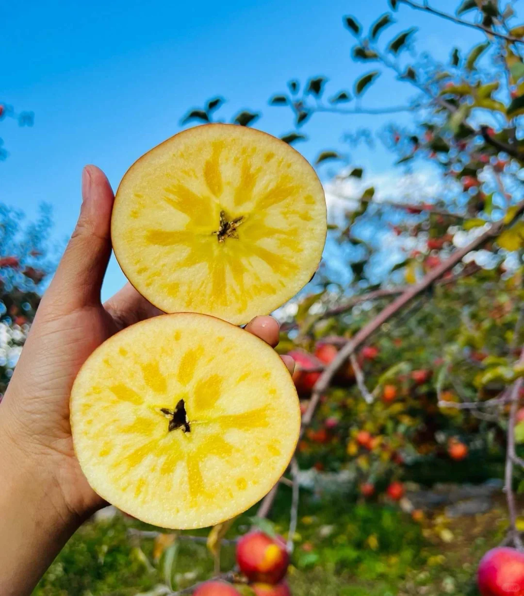 这苹果真的好漂亮啊！