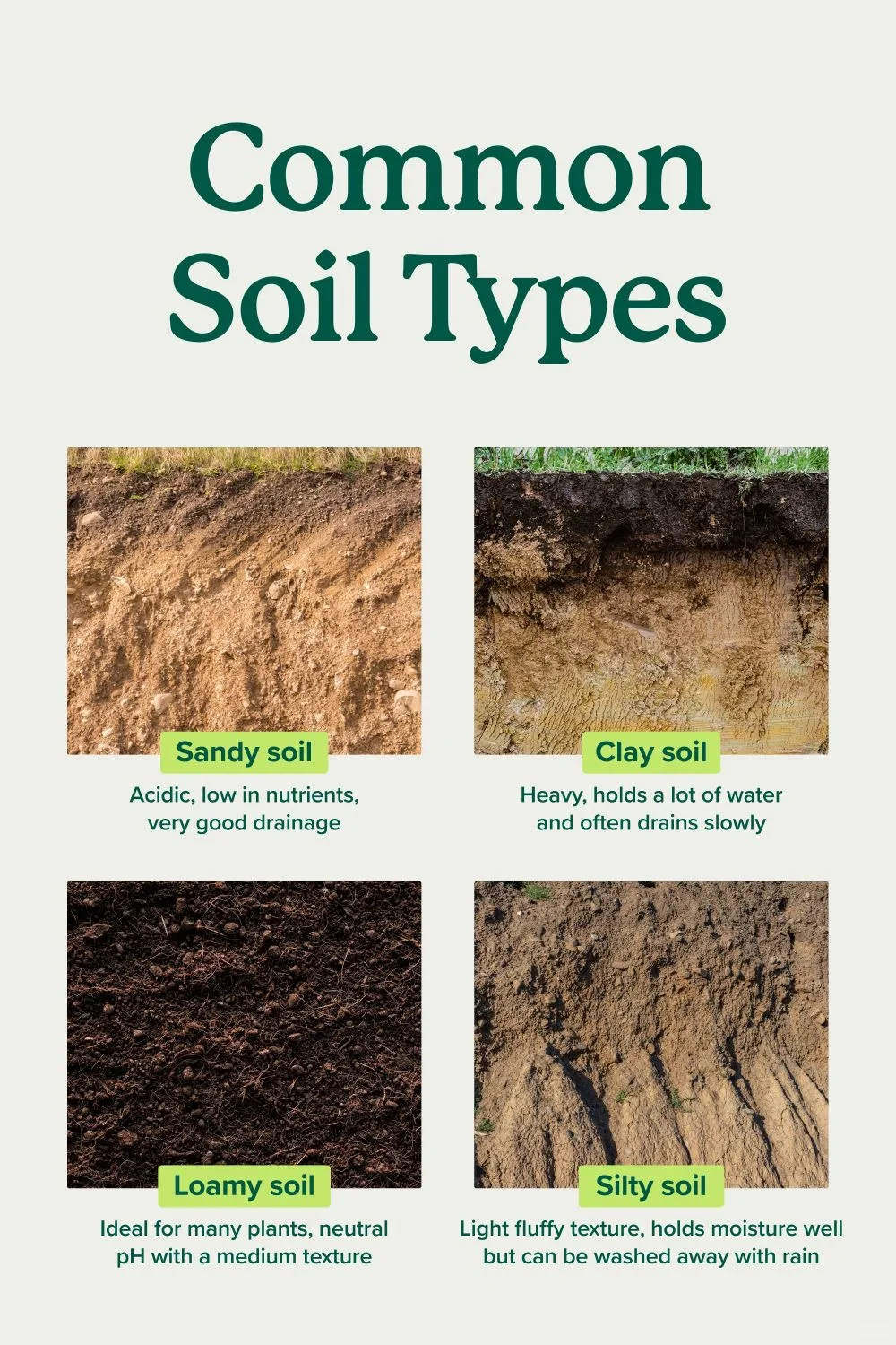 【紧急插播】栽种前必看~土壤改良秘籍