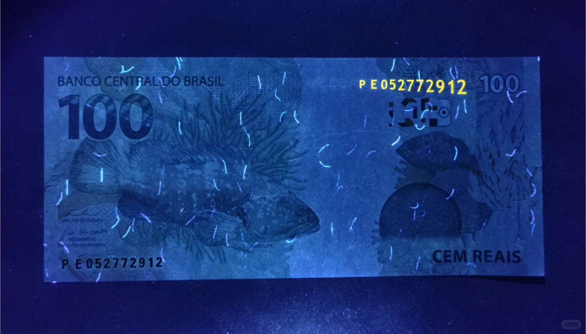每日一钞:巴西100雷亚尔纸币