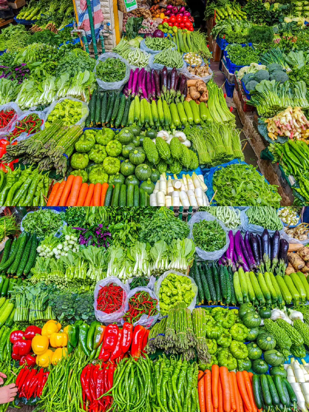 看到好看的蔬菜真的想尖叫！