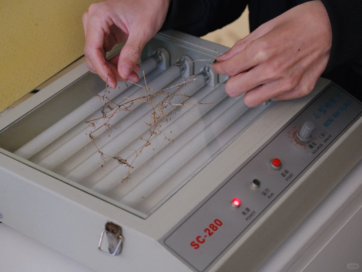 深圳回南天有蓝色晒版机的快乐