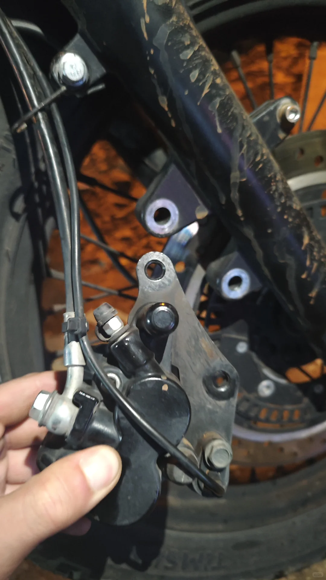 真好啊,又活了一天