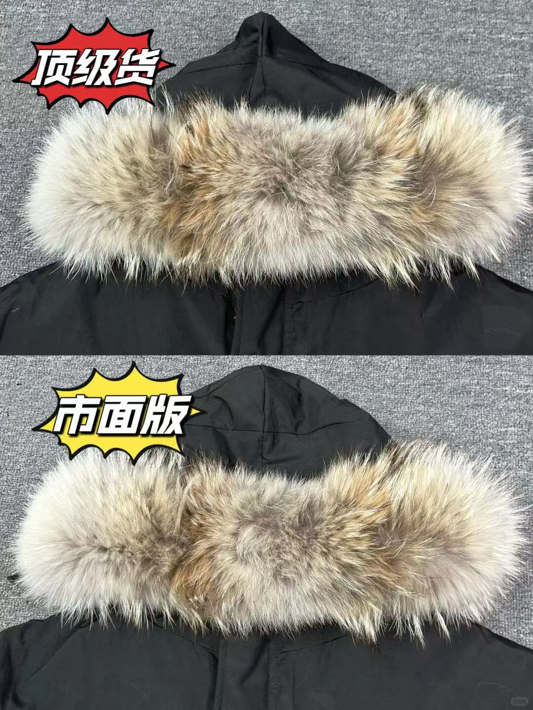 鉴别加拿大鹅学会这几个关键细节就够啦❗️❗️