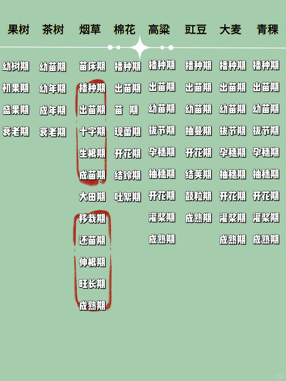 生育期|做一个合格农民第一步