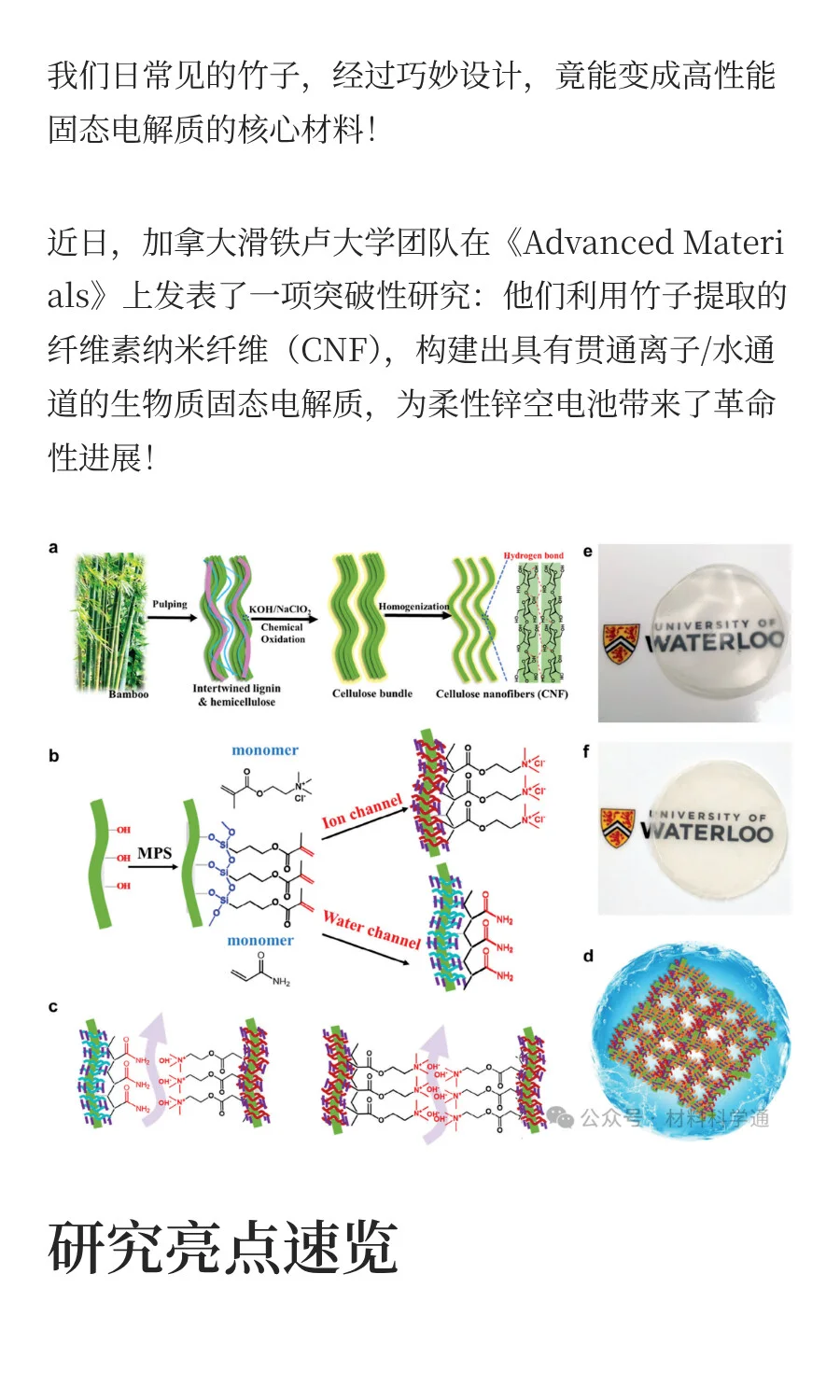 竹子造出“离子高速路”!新型生物质固态电