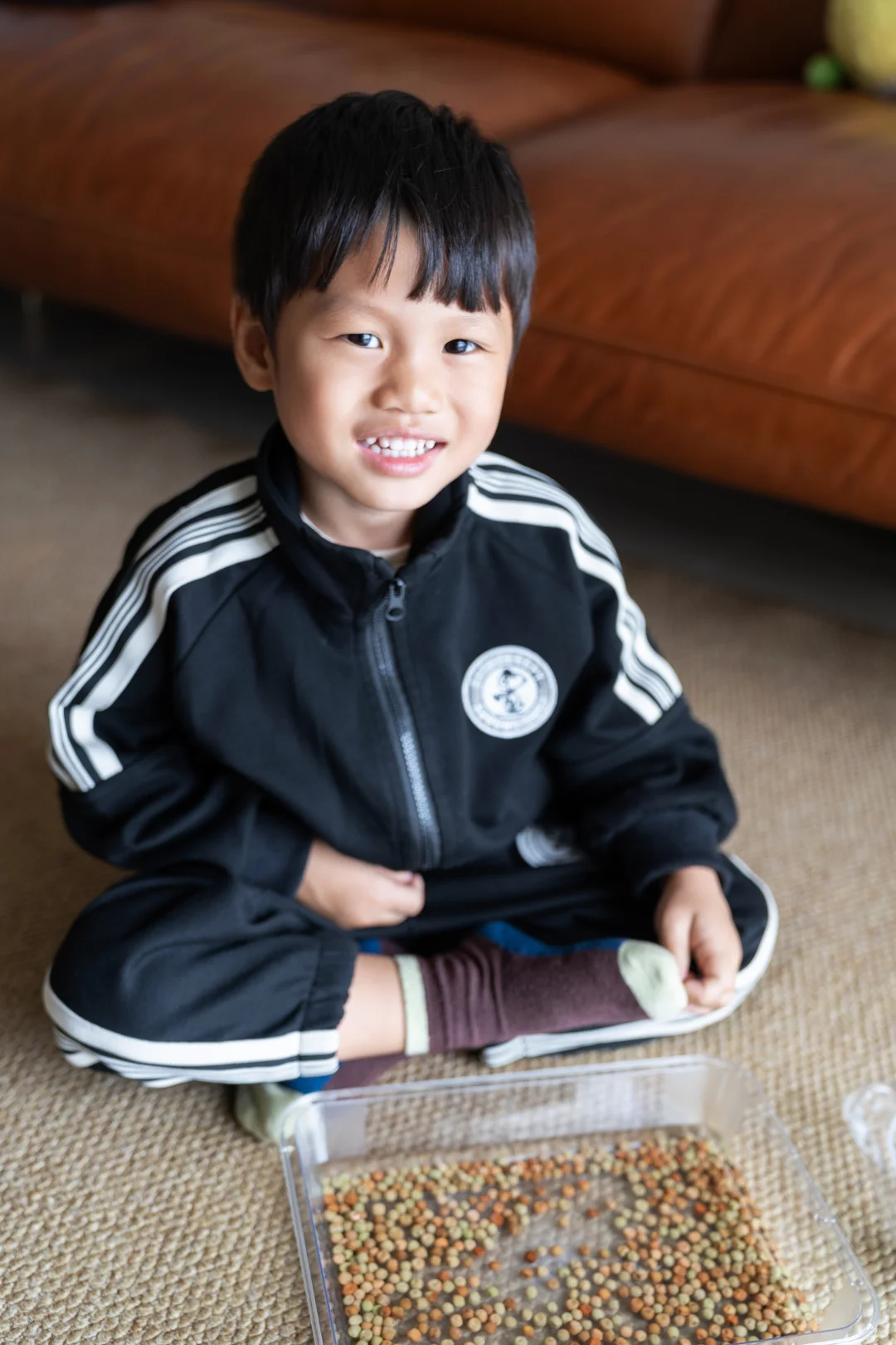 特别有趣的种植豆芽的小计划～