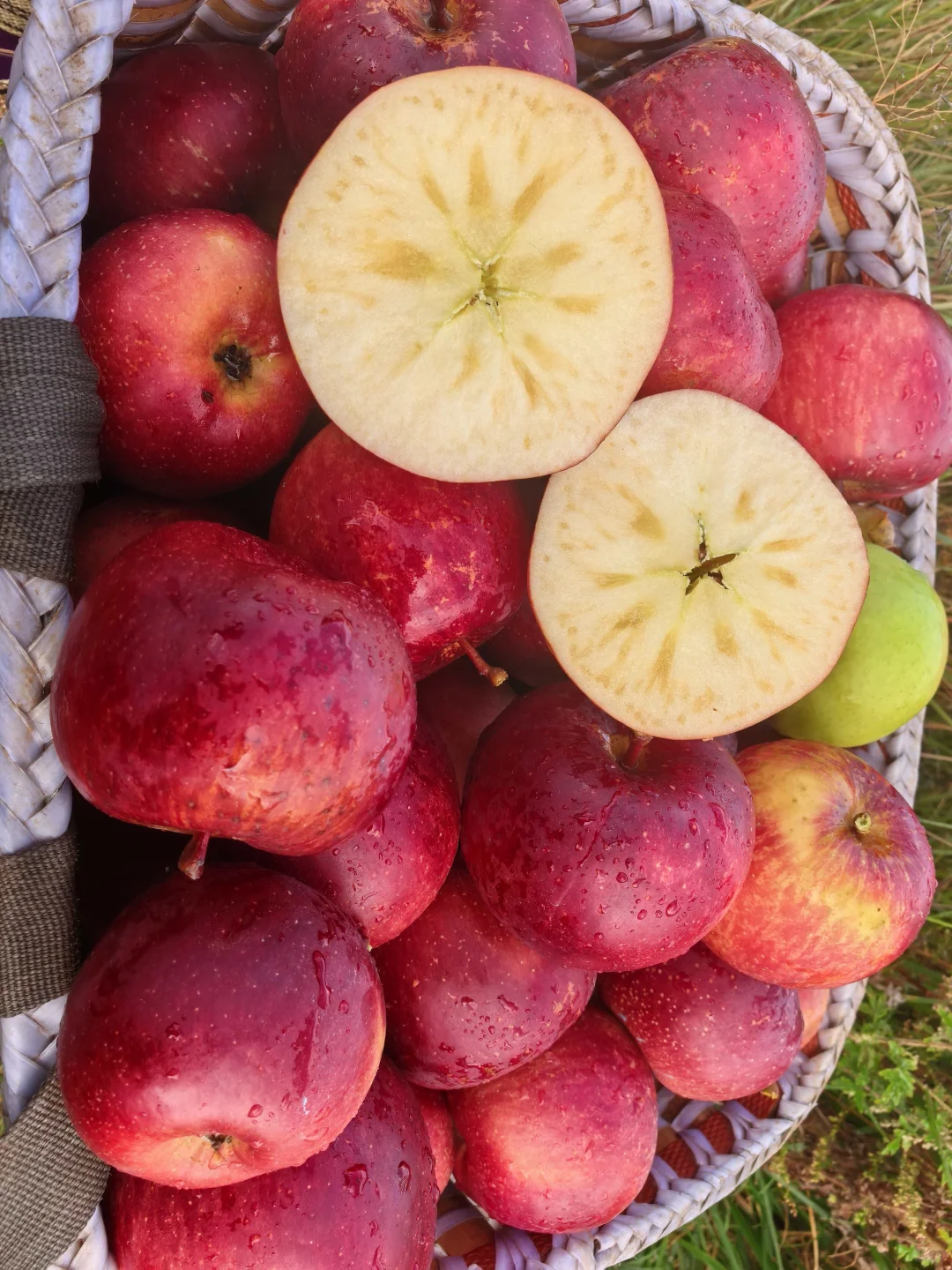 这苹果真的好漂亮啊！