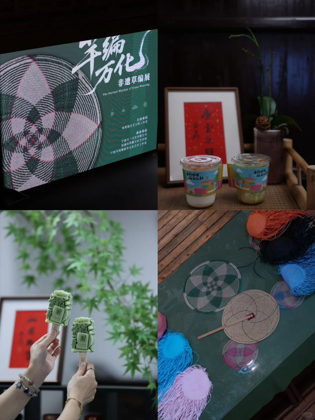 宁波新展｜芊编万化，一棵草的浪漫