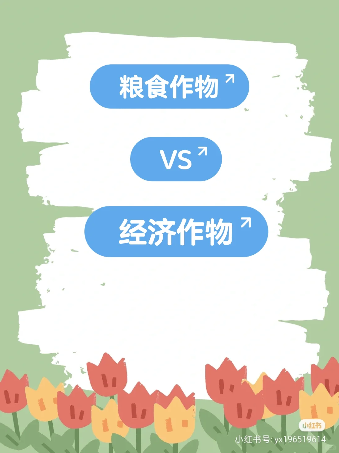 【高频概念】粮食作物与经济作物区别