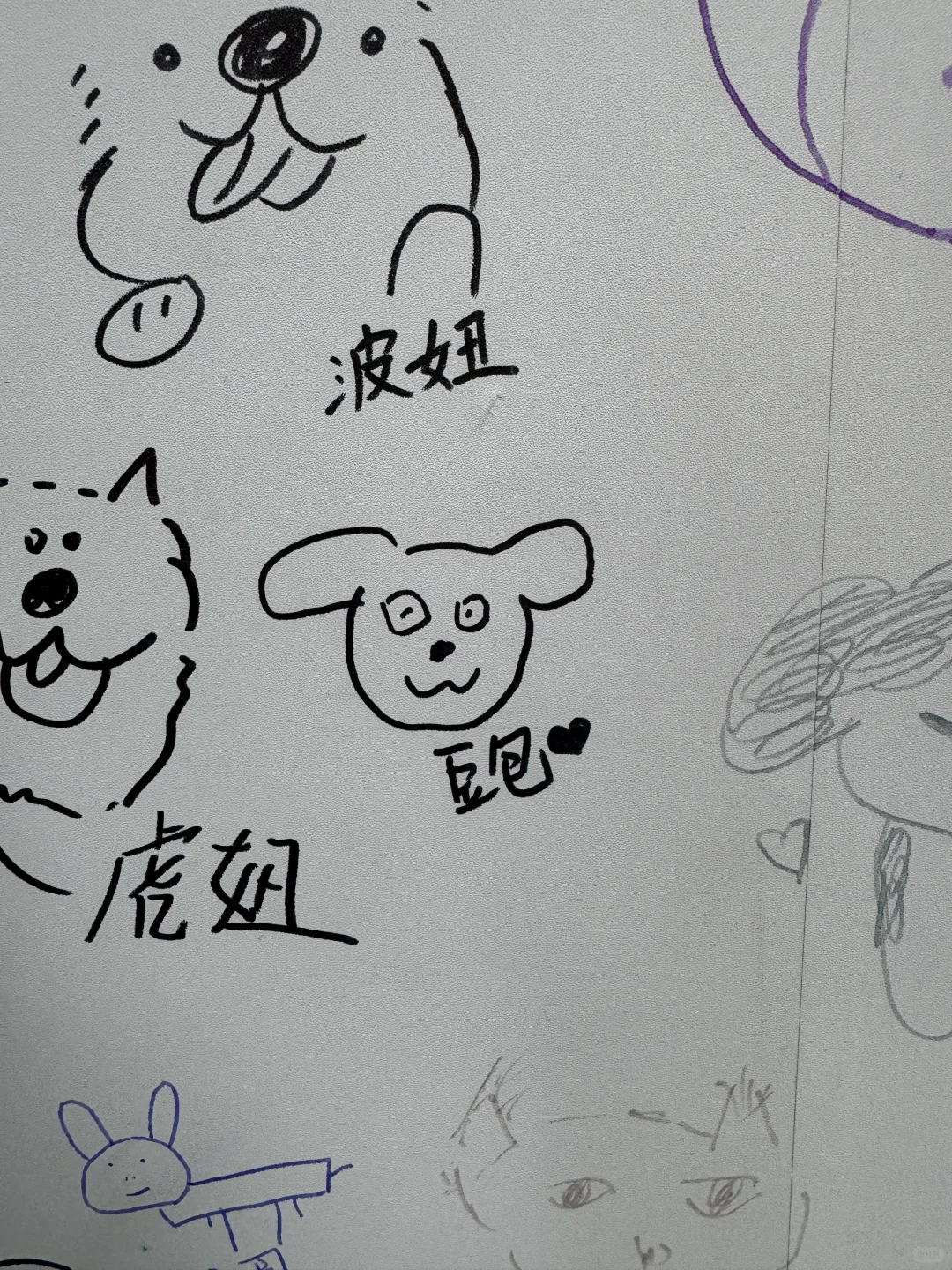 青岛亚太宠物展值不值得去
