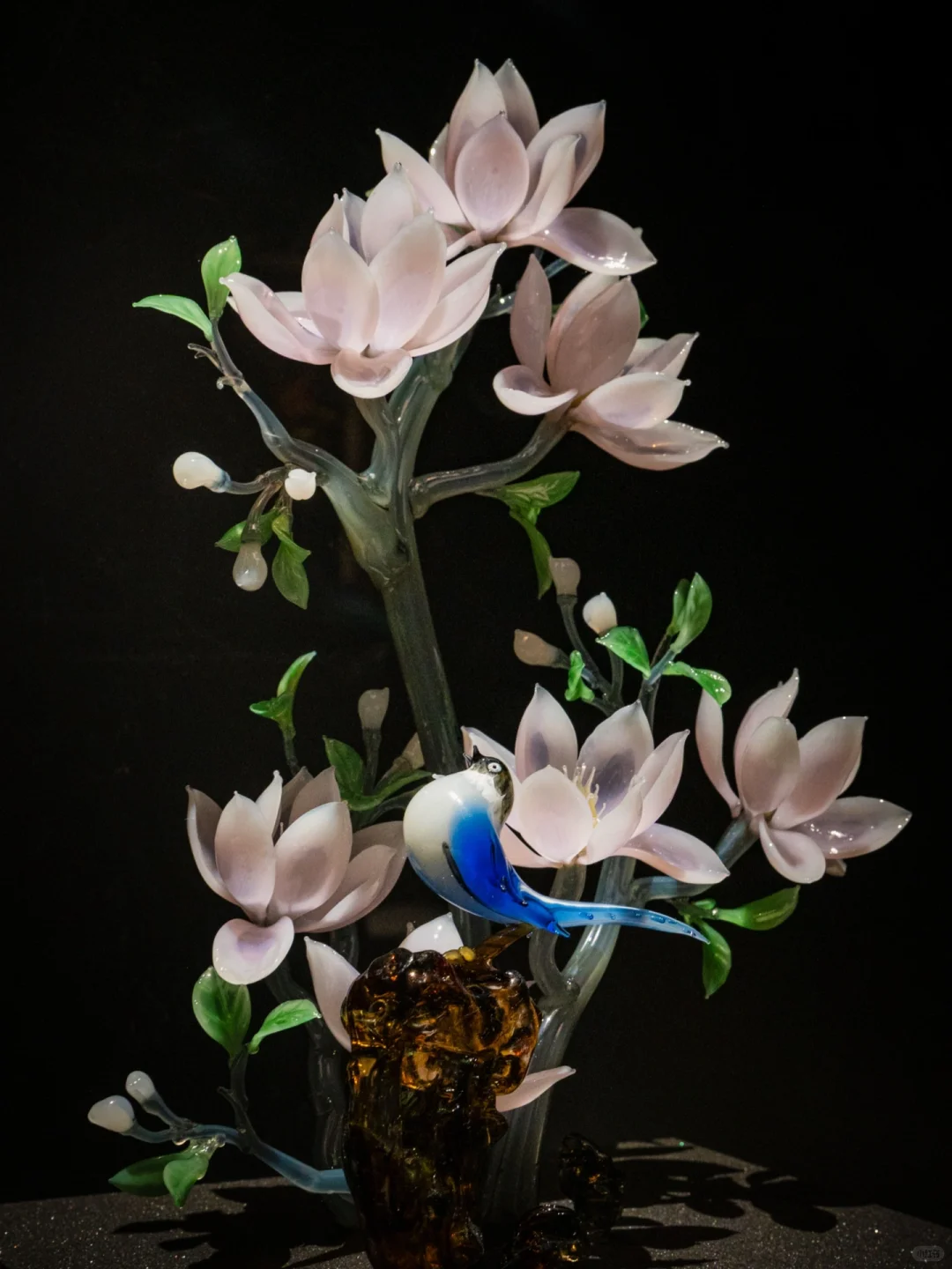 为了看这永不凋零的浪漫，特意来了趟淄博！