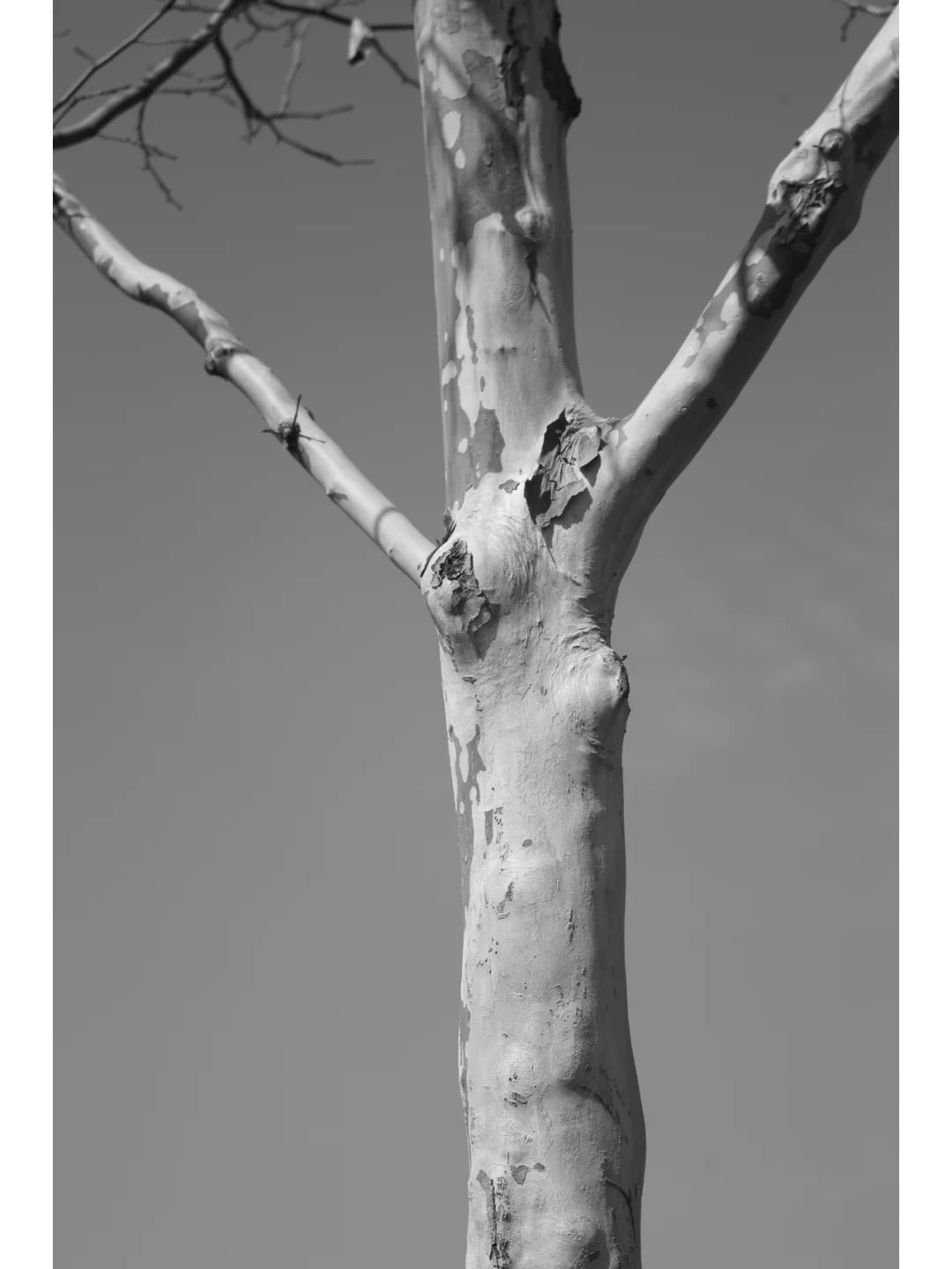 柯达EKTAR 100 3.5二代旁轴镜头，稀土玻璃