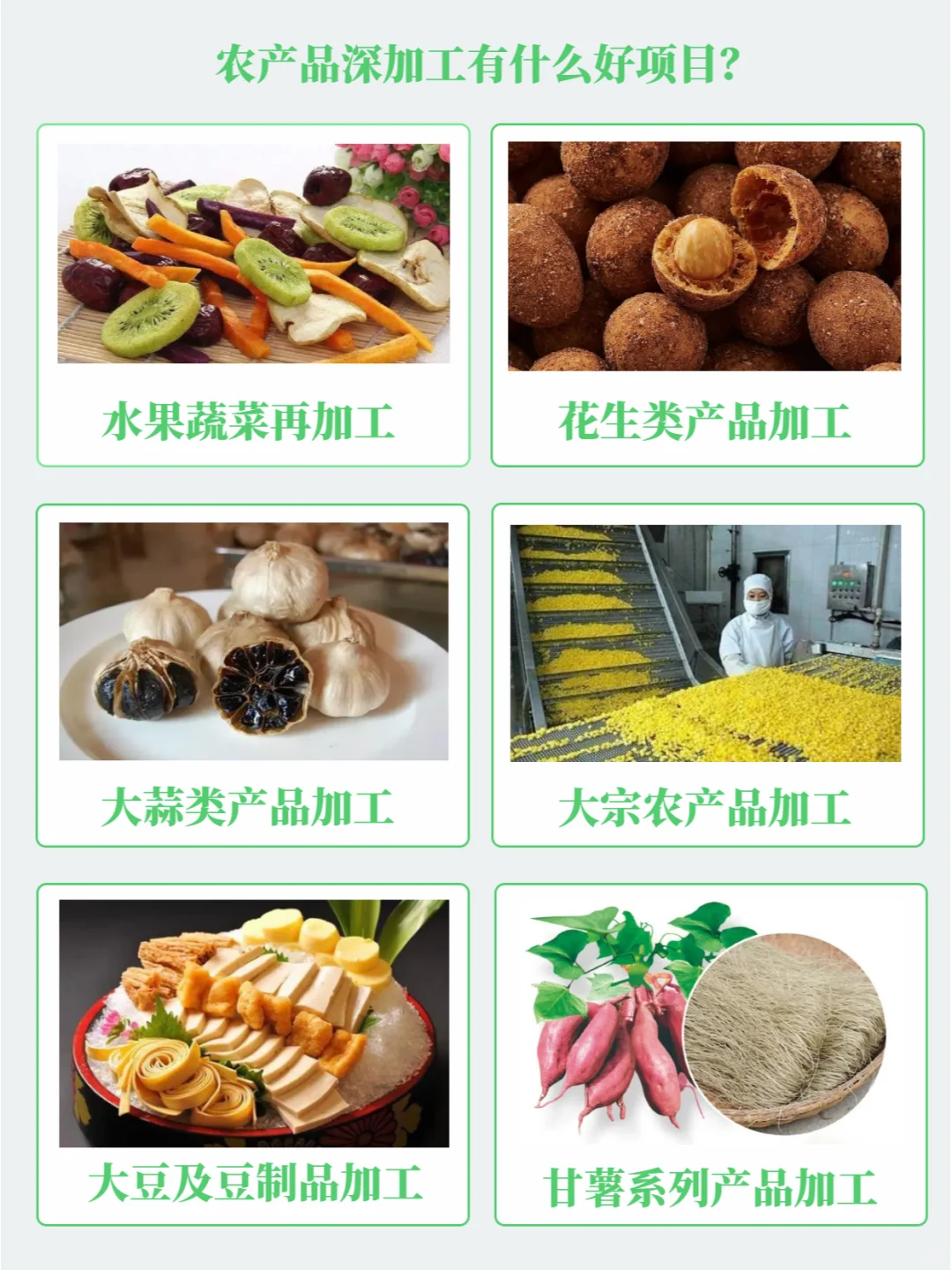 农副产品深加工致富项目盘点