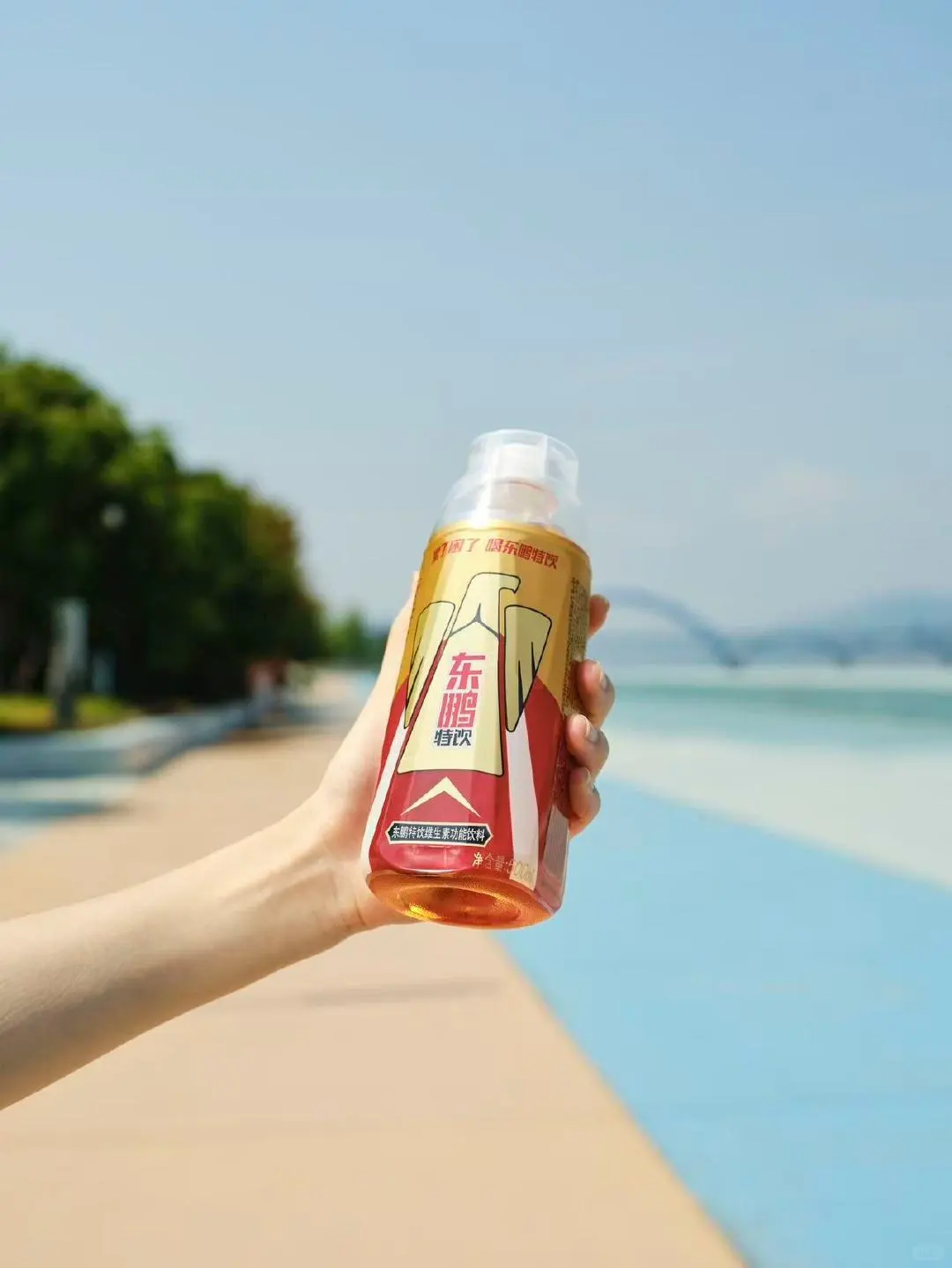 东鹏特饮，中国功能性饮料第一，赴港上市