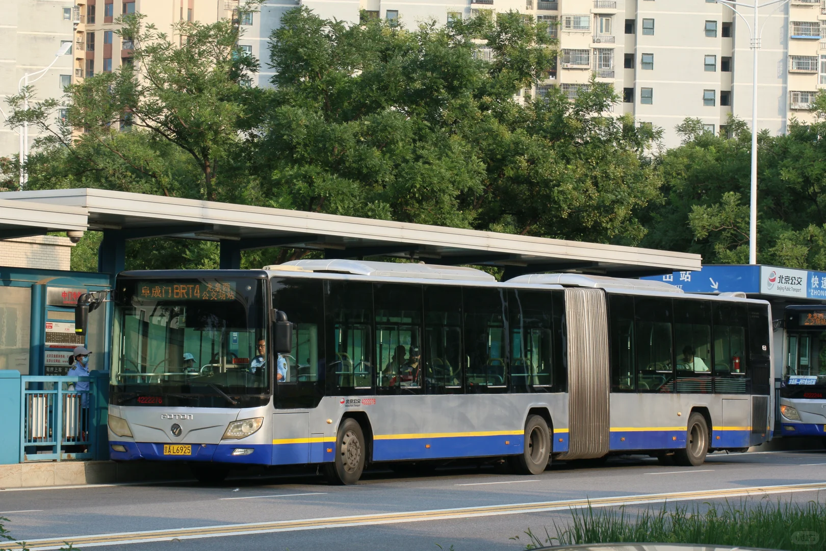 属于他们的最后一夏