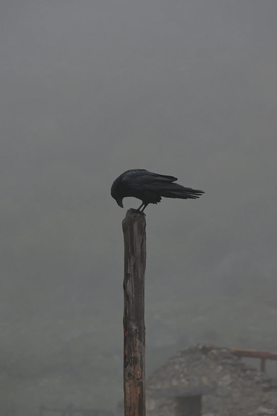 贡嘎大环线户外装备使用报告（实用物品篇）