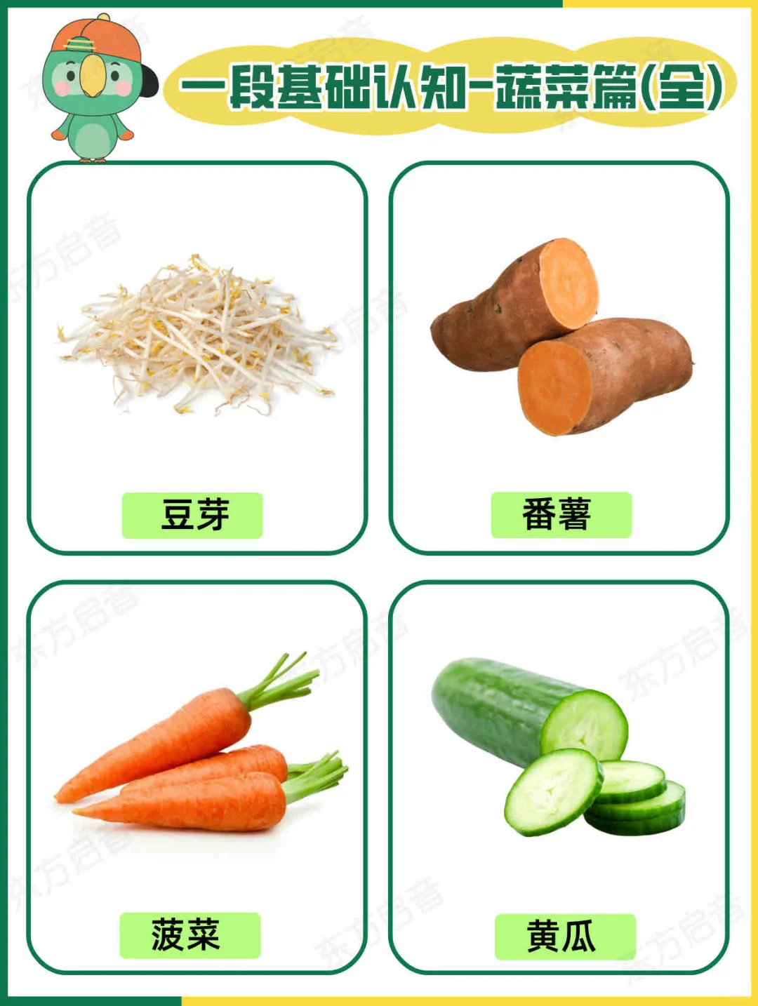 ?自闭症宝宝一段基础认知｜蔬菜篇（全）?