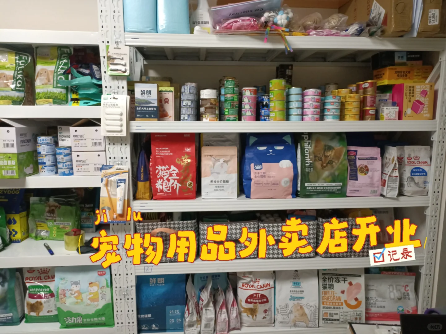 我的宠物用品外卖店终于开业啦！