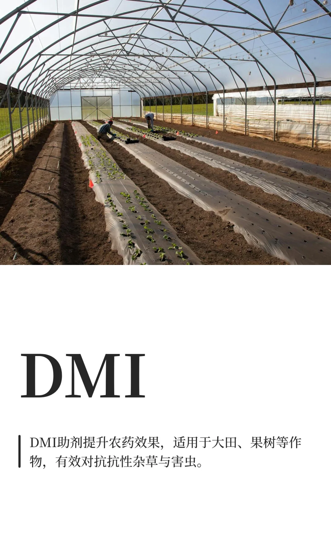 DMI （1-3二甲基-2-咪唑啉酮）