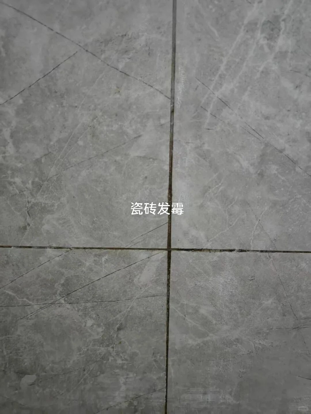 泰克诺斯曼迪20，凭借超强防潮防霉核心