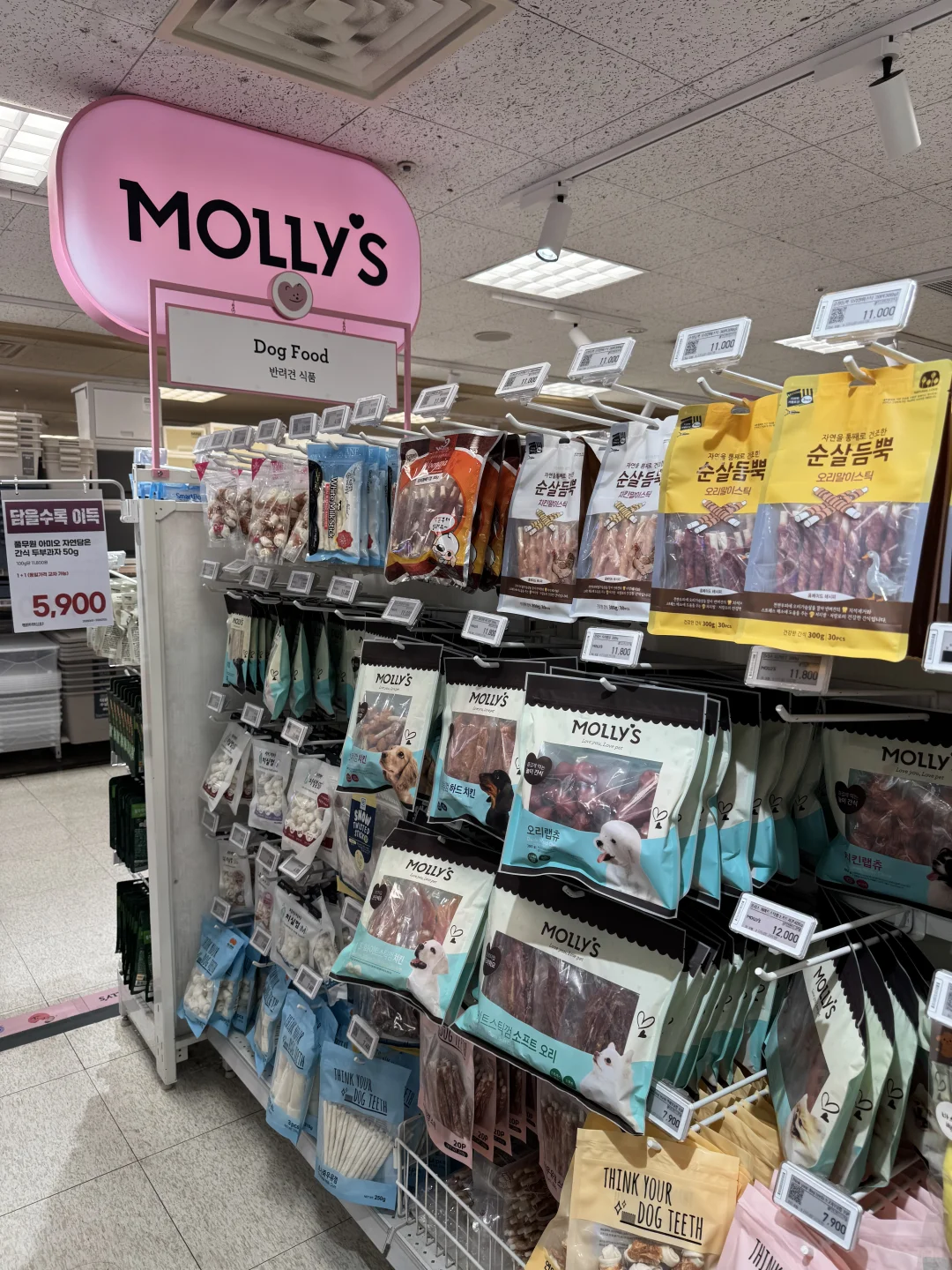 养狗人济州岛打猎攻略?勇闯?家店宠物店！