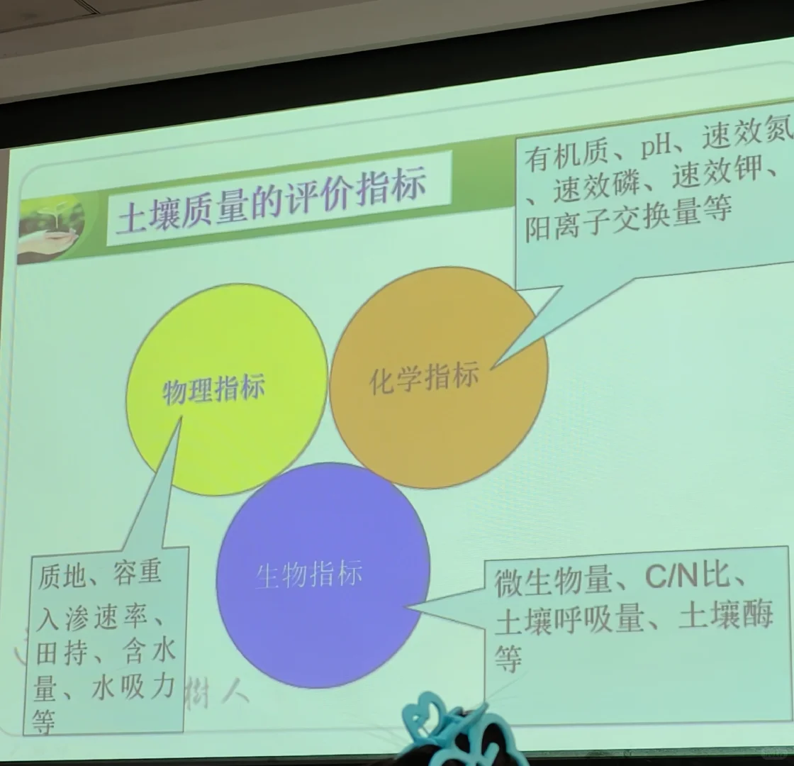 土壤污染与修复