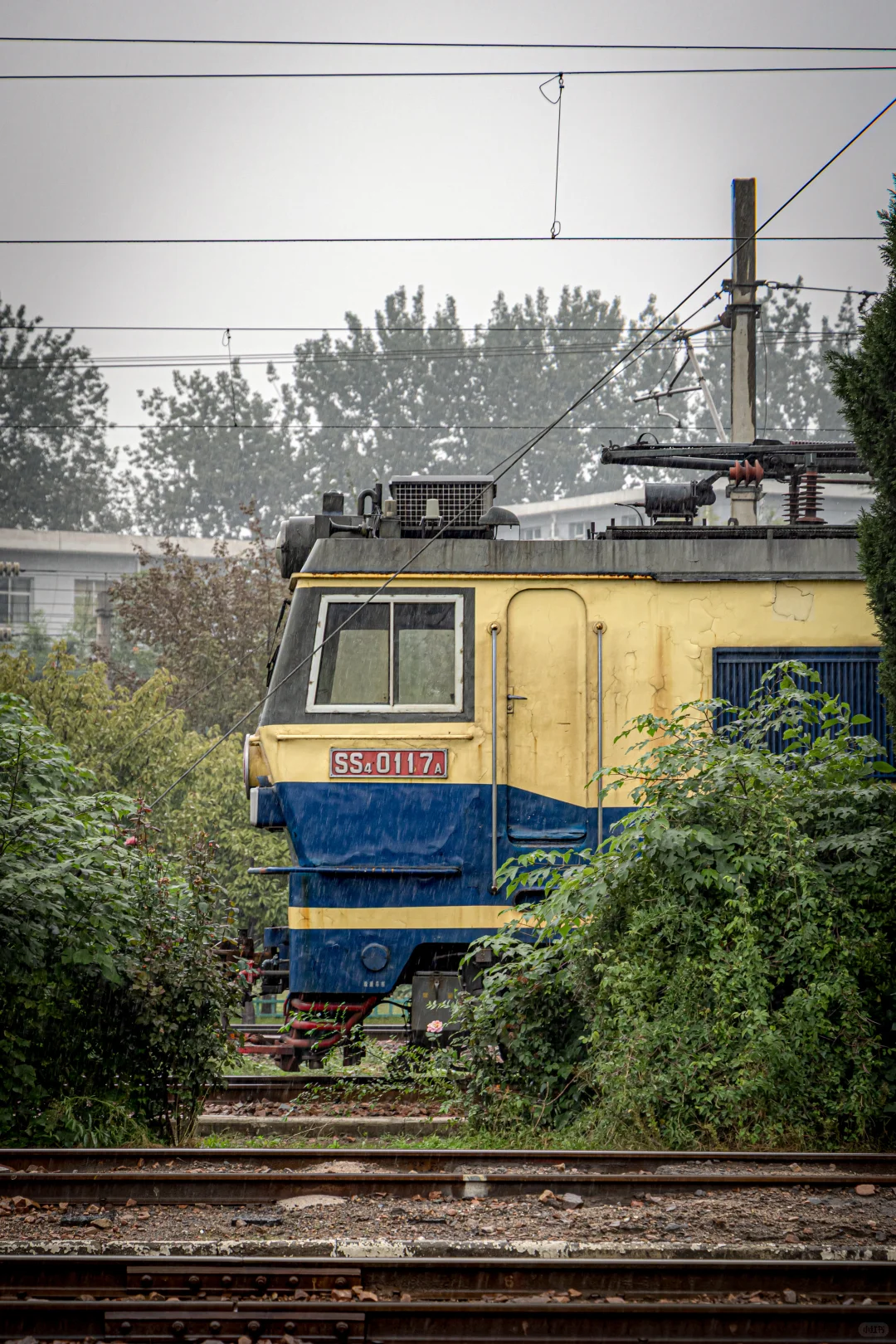 10月对他们的追逐