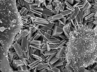 微晶玻璃制备之Petrurgic法