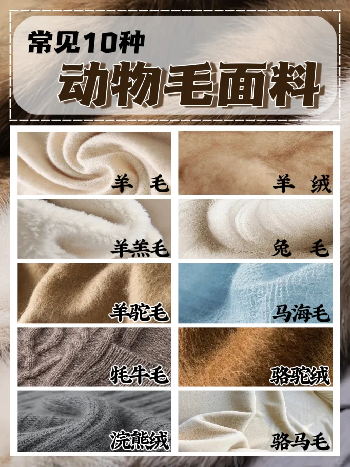 面料 | 秋冬季常见10种动物毛质面料