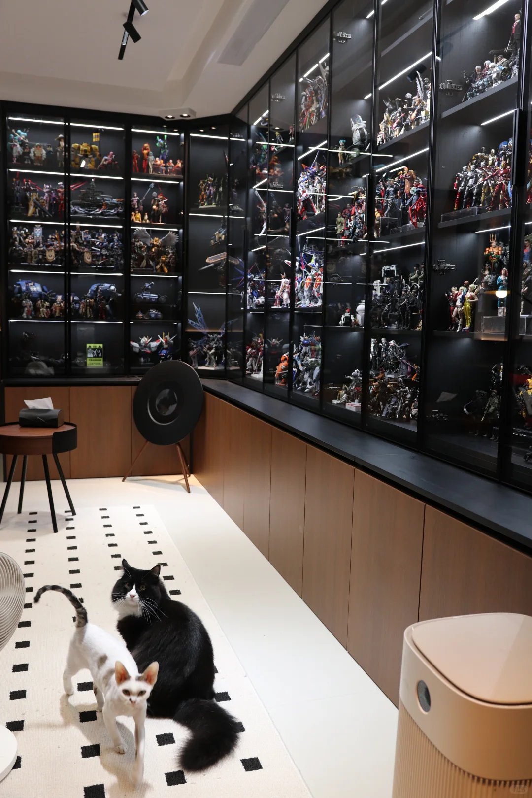 入坑14年价值25w的模型展示柜