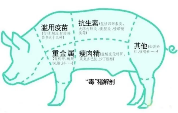 民以食为天,食以安为先,兽残的五大危害