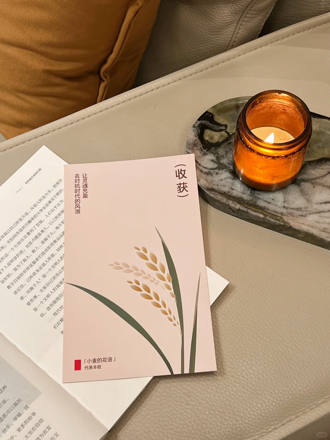 去住舒适的房子，然后越过越好