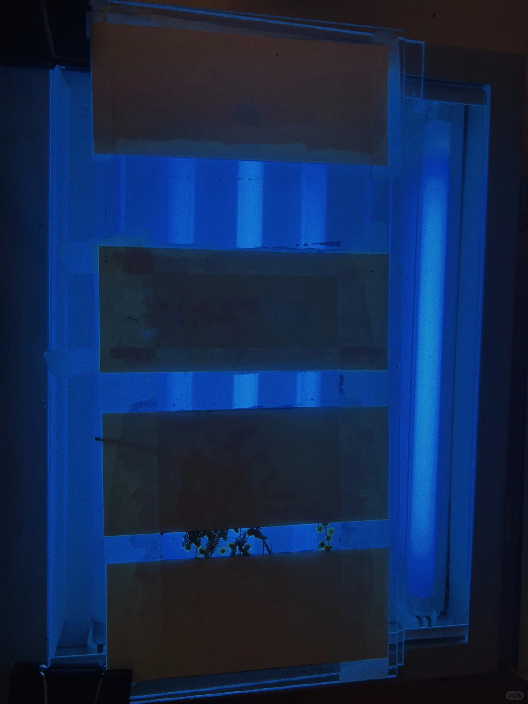 深圳回南天有蓝色晒版机的快乐