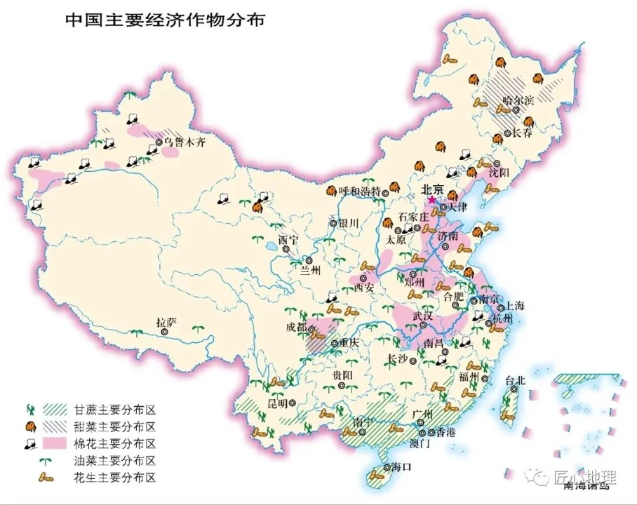 我国主要经济作物分布在这里