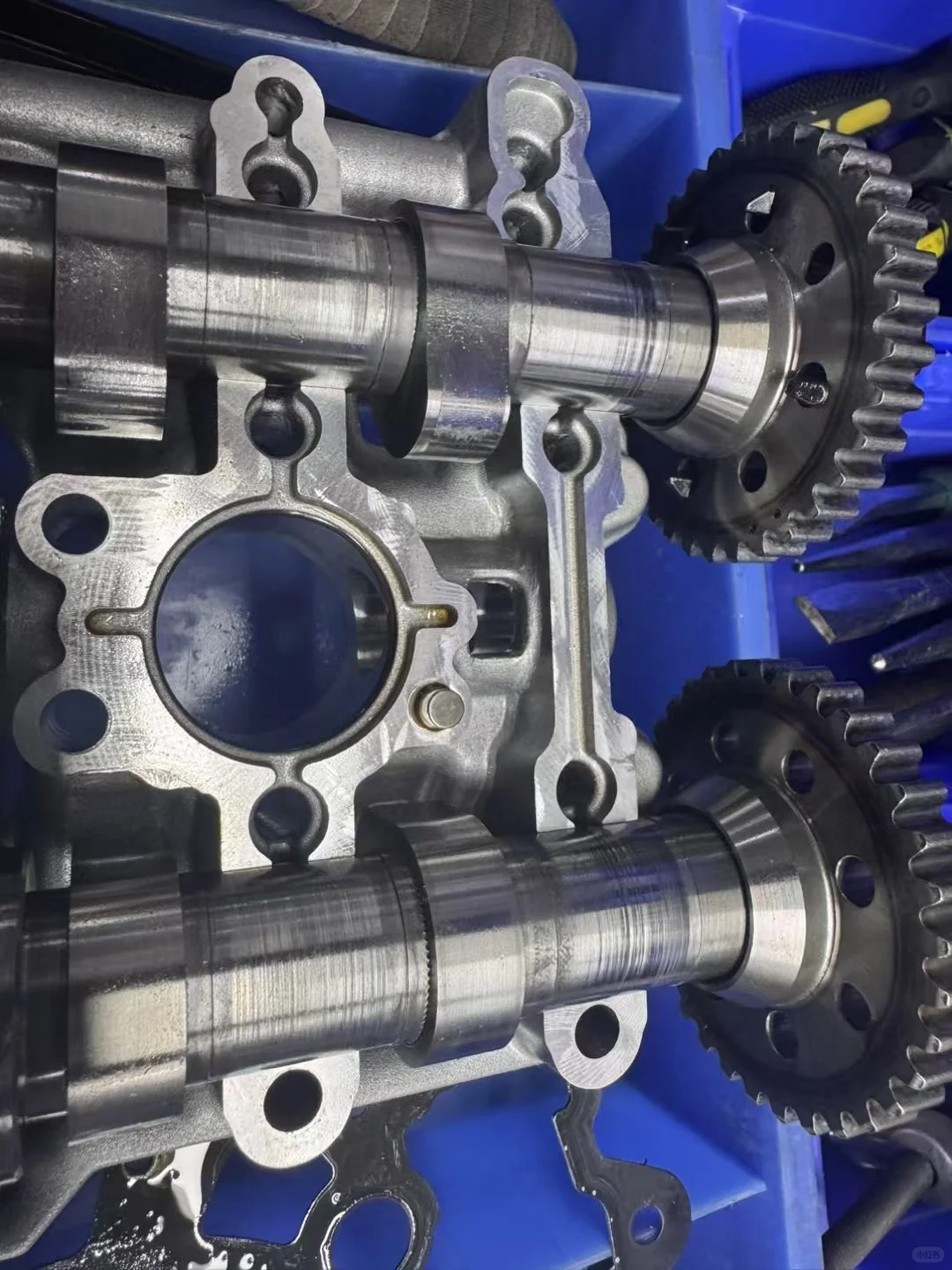 买ktm图便宜的下场❕❗️⚠️