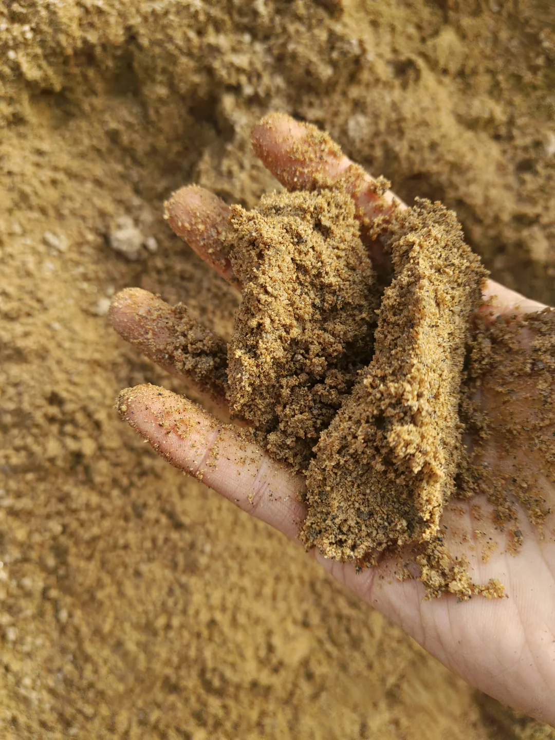 自装买沙子水泥必看❗️