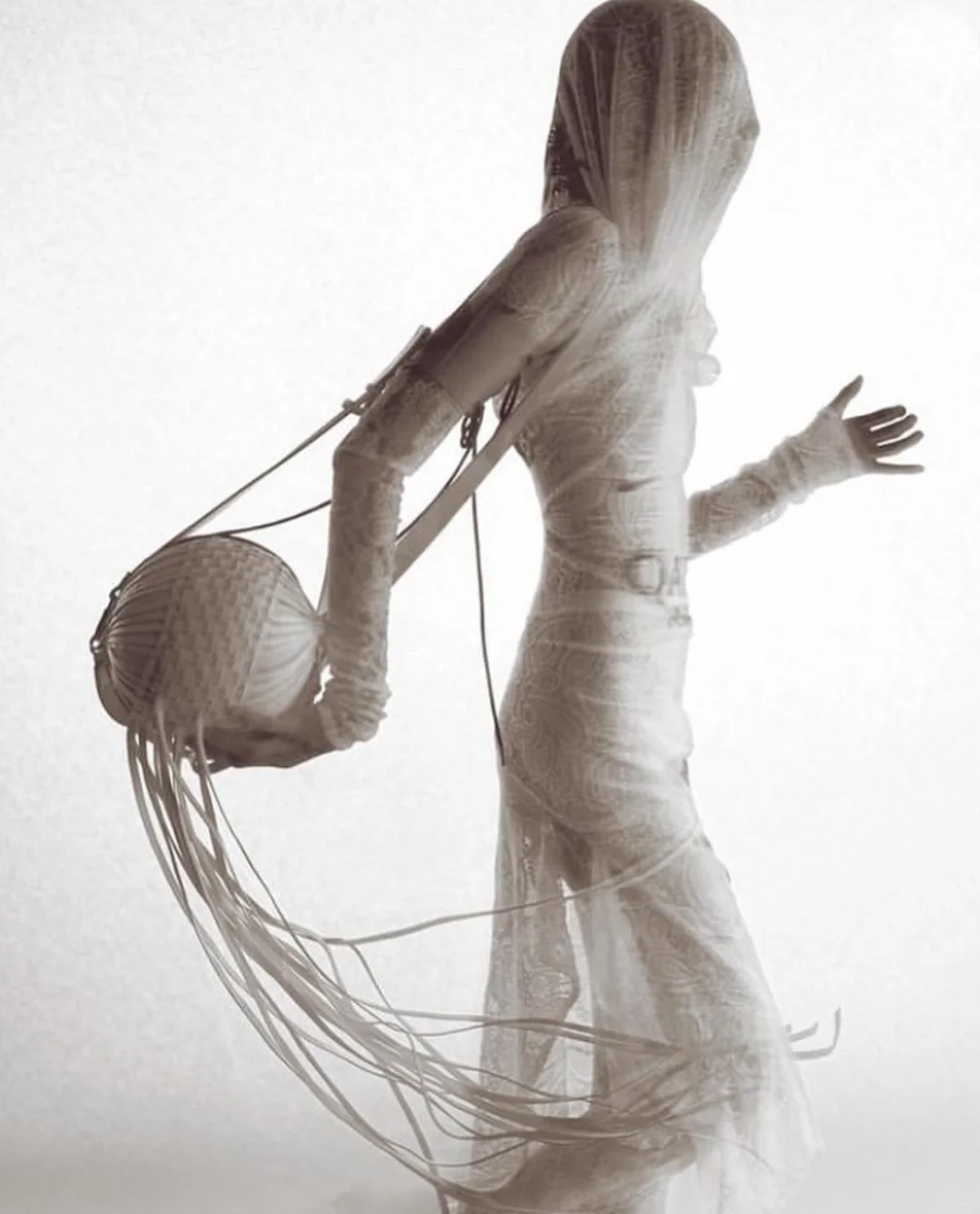 作茧自缚｜蝉蛹虫草?️