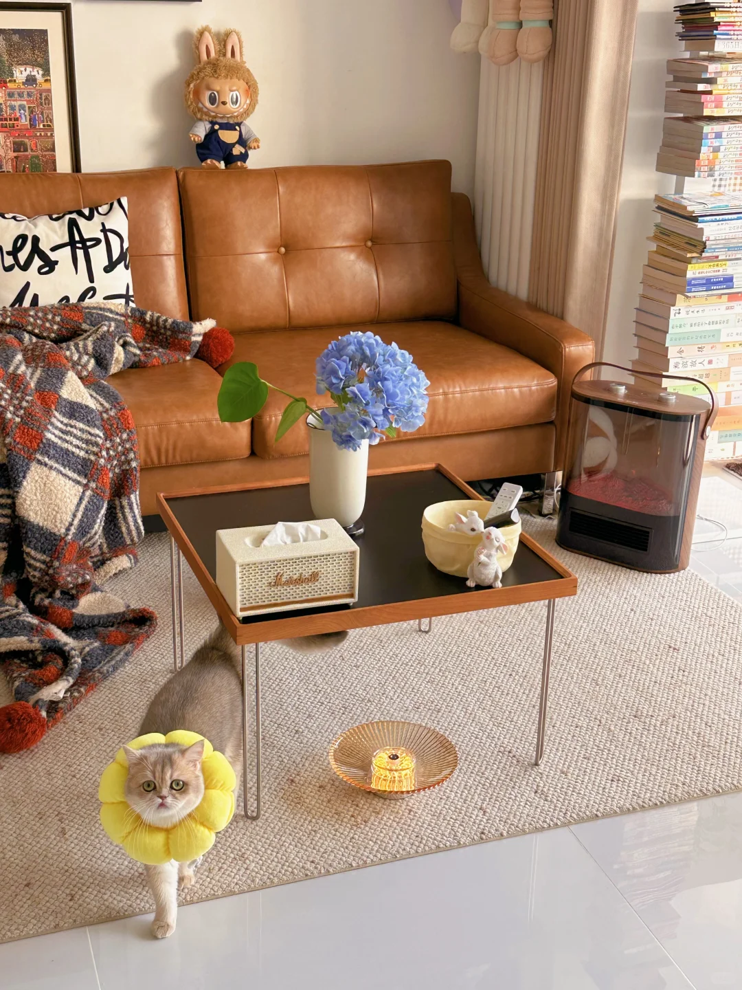 就46㎡的小房子，谈什么高级感简单够住就行！