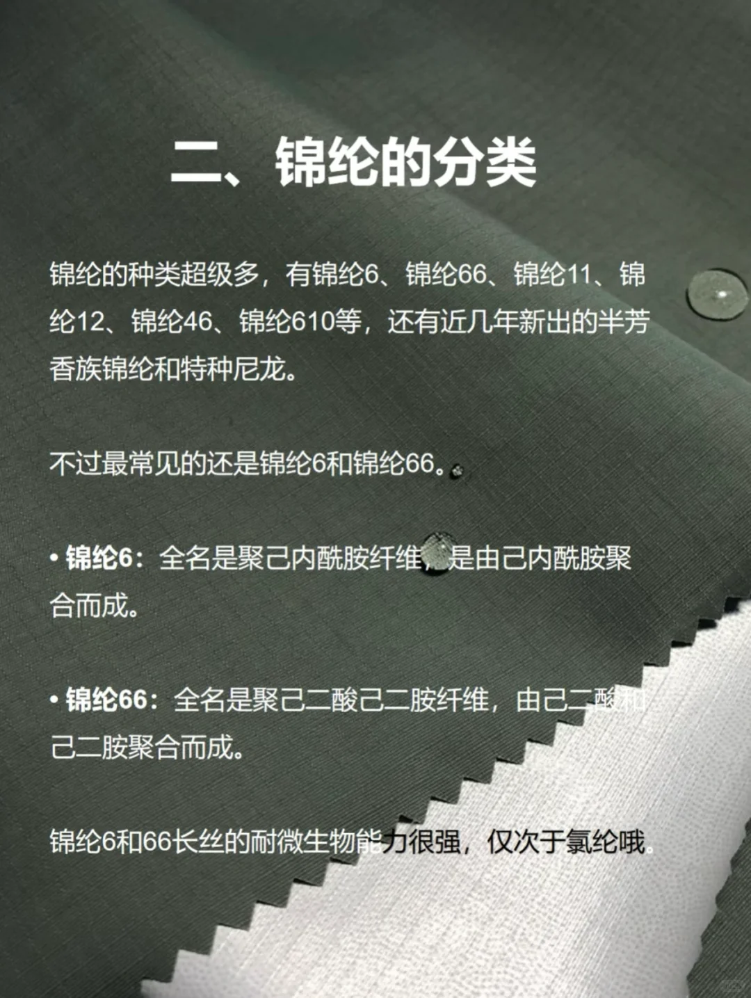 锦纶面料知识科普来了❗️❗️