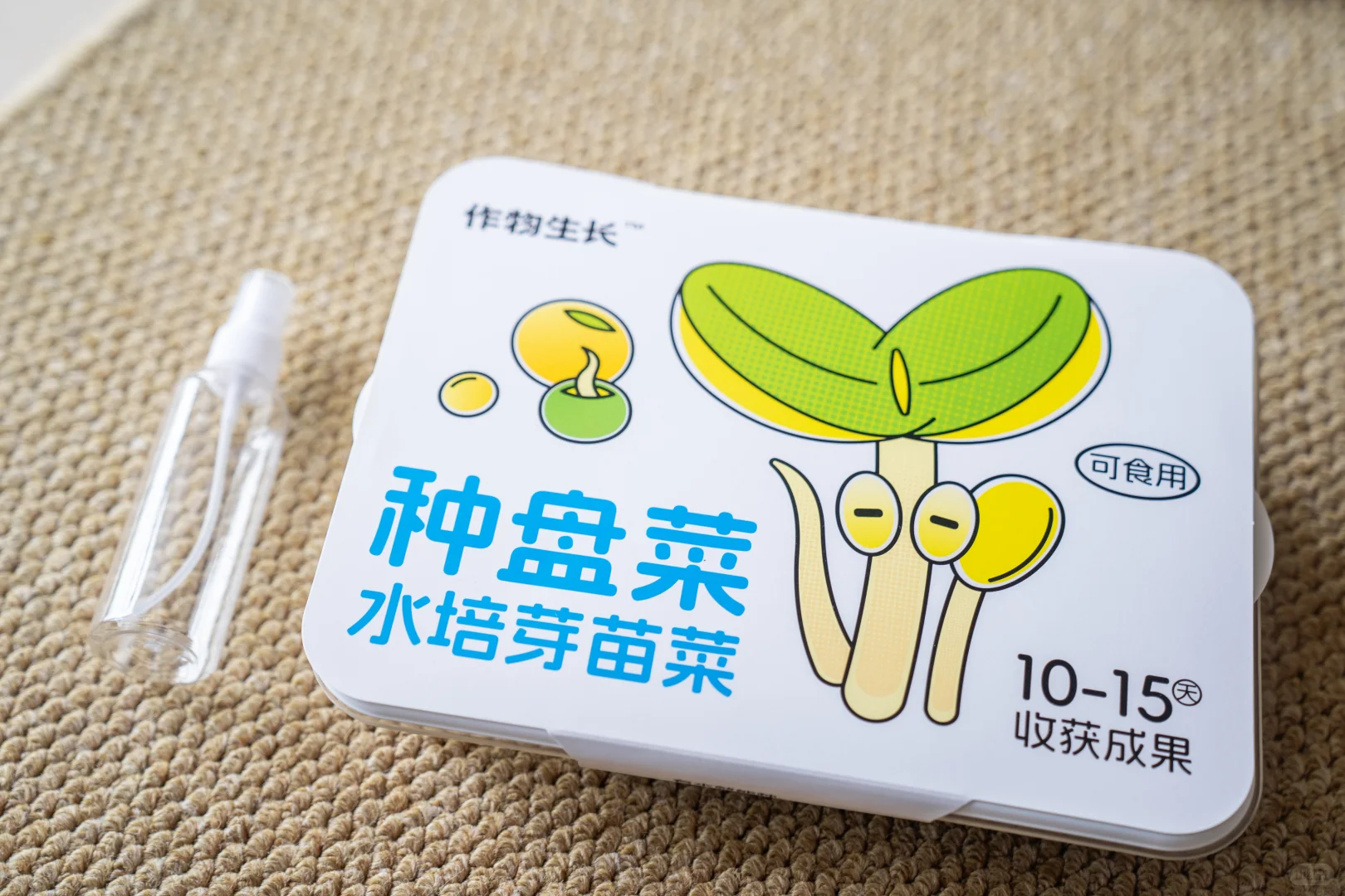 特别有趣的种植豆芽的小计划～