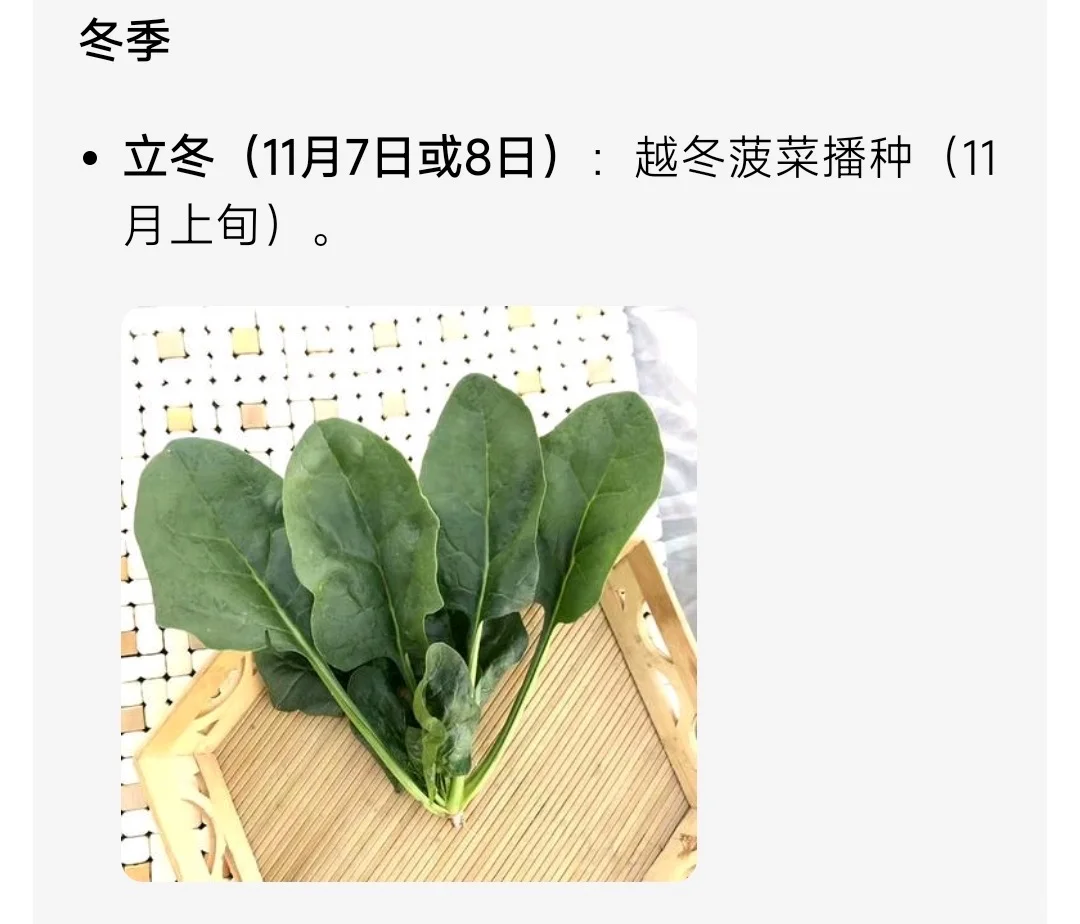 山东烟台二十四节气种菜时间