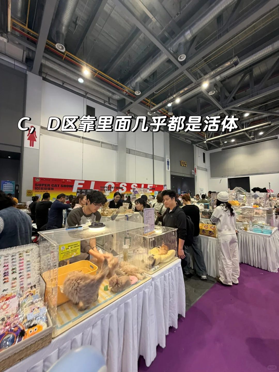 华东国际宠物展薅羊毛别来啦～值不回票价?